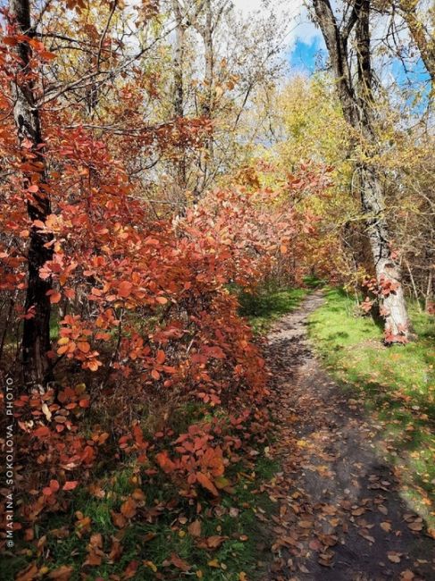 🍂Совсем..