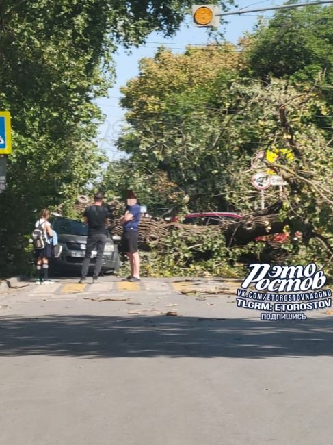 ⚠🌳Дерево упало на легковушку возле школы №15 (ул. Калининградская, Западный). В машине оказались..