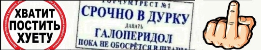 Русским предложили размножаться и создавать многодетные семьи с мигрантами  Учёные ФНИСЦ РАН сообщили, что..