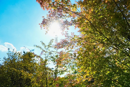 Встречаем тёплую золотую осень 🤗🍂  ..