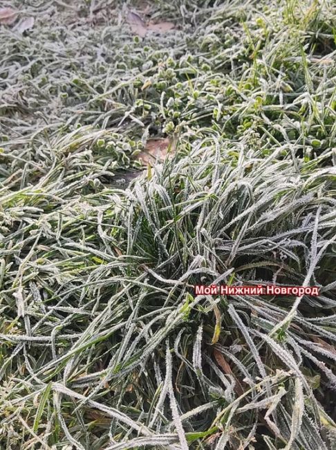 🗣️ Зима близко — первые заморозки на севере Нижегородской..