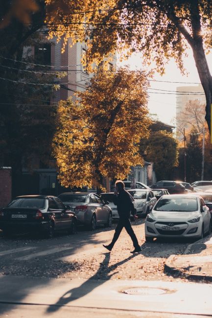 Уютная ростовская осень 🍂🍁  Фото: Артём..