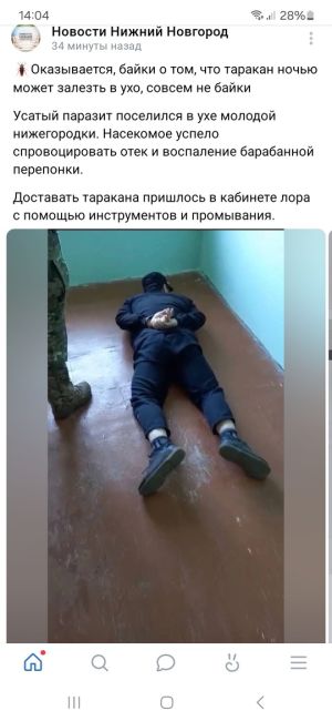 🪳Оказывается, байки о том, что таракан ночью может залезть в ухо, совсем не байки  Усатый паразит поселился..