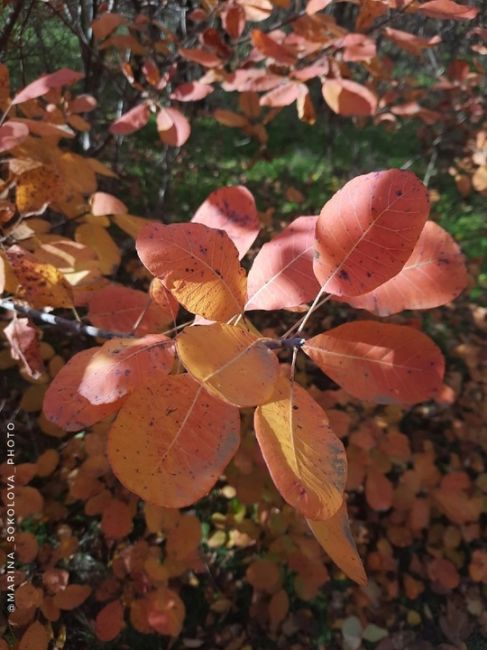 🍂Совсем..