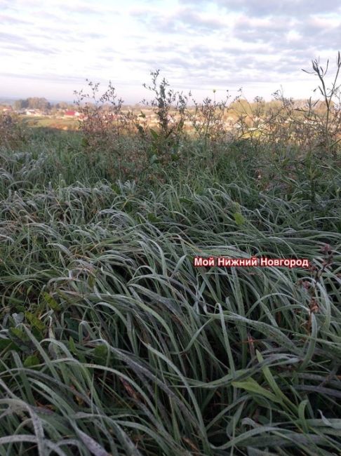 🗣️ Зима близко — первые заморозки на севере Нижегородской..