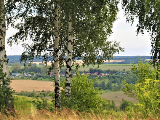 Село Варварское и его окрестности. Кстовский район.💙 
 фото: Галина..