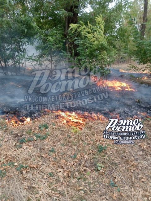 😡 Поймали школьника, который поджёг траву в пос.Октябрьский. 🔥 Огонь удалось сдержать, а пацана оставили..