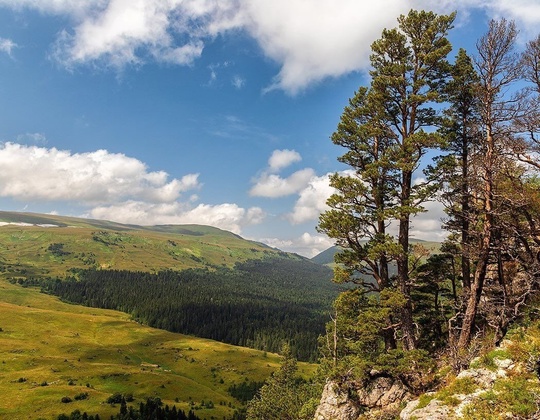 Красоты Лаго-Наки 😻  Фото: Катя..