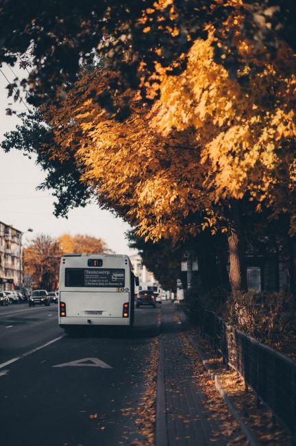 Уютная ростовская осень 🍂🍁  Фото: Артём..