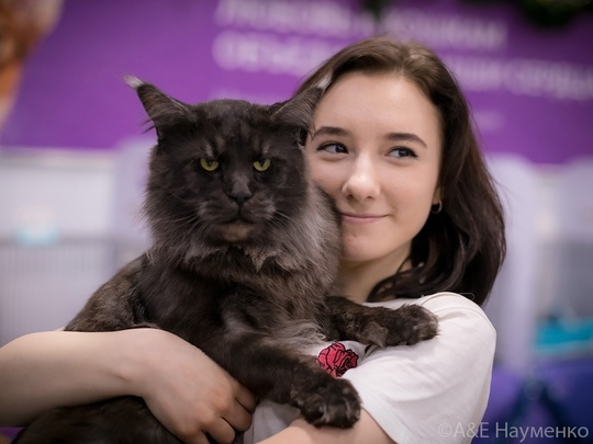 Уникальное событие в Москве! «Юбилейное Шоу Кошек»! Приходите 07-08 сентября 2024г. в Торговый Центр «РМ», рядом с..