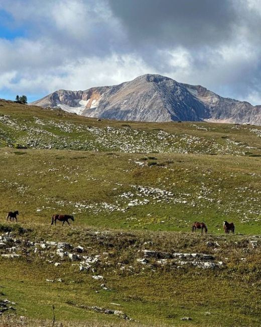 ⛰️Хребет Каменное море,..