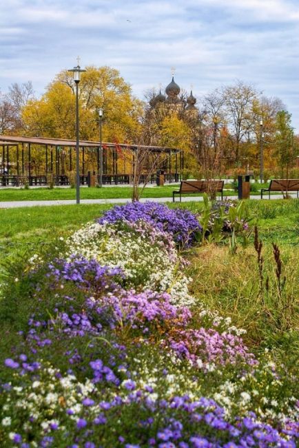 Старочеркасск осенний. Аксайский район, Ростовская область.  Фото: Владимир..