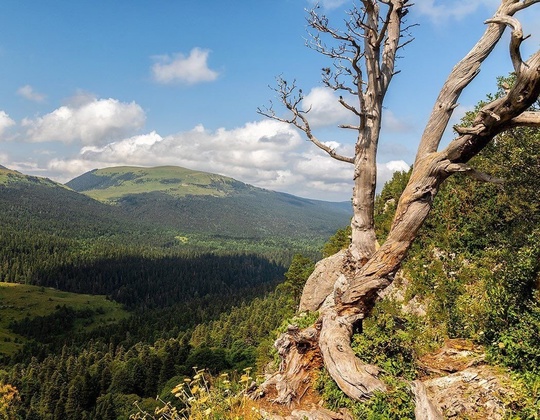 Красоты Лаго-Наки 😻  Фото: Катя..