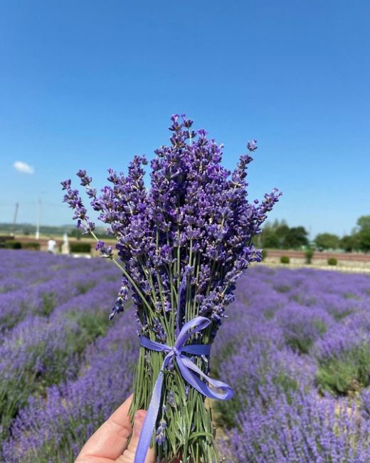 Цветы уходящего лета!
🌺🥰🪷
Яркие, красивые, разноцветные!
🎨🌷🌻
Фото:..