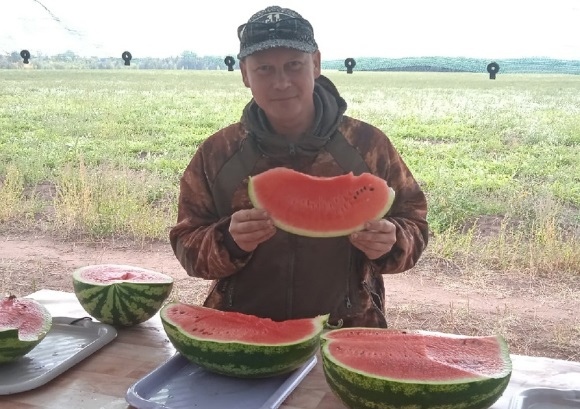 В Самарской области вырастили гигантские арбузы  Особый микроклимат в Борском районе позволяет ставить..