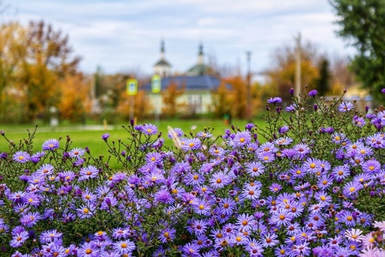 Старочеркасск осенний. Аксайский район, Ростовская область.  Фото: Владимир..