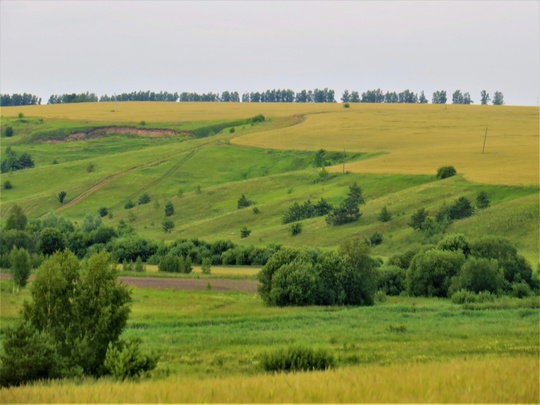 Село Варварское и его окрестности. Кстовский район.💙 
 фото: Галина..