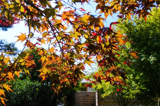 Встречаем тёплую золотую осень 🤗🍂  ..