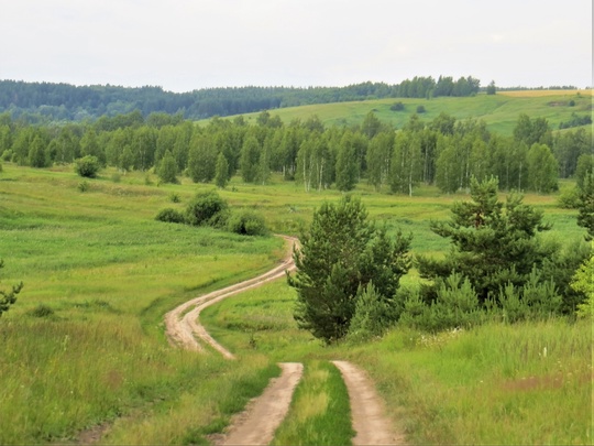 Село Варварское и его окрестности. Кстовский район.💙 
 фото: Галина..