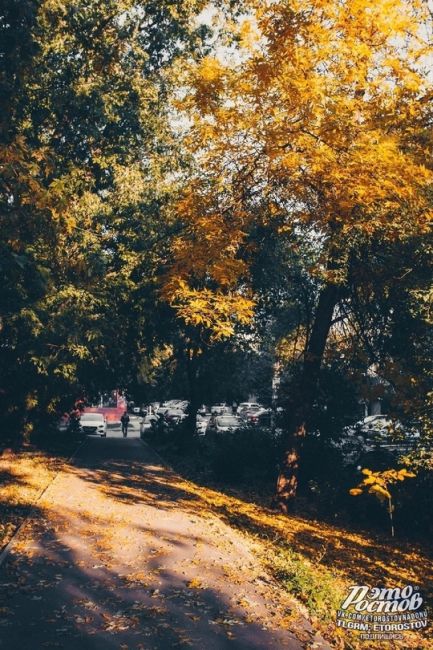 Скоро в Ростове 🍂  Фото: Артём..