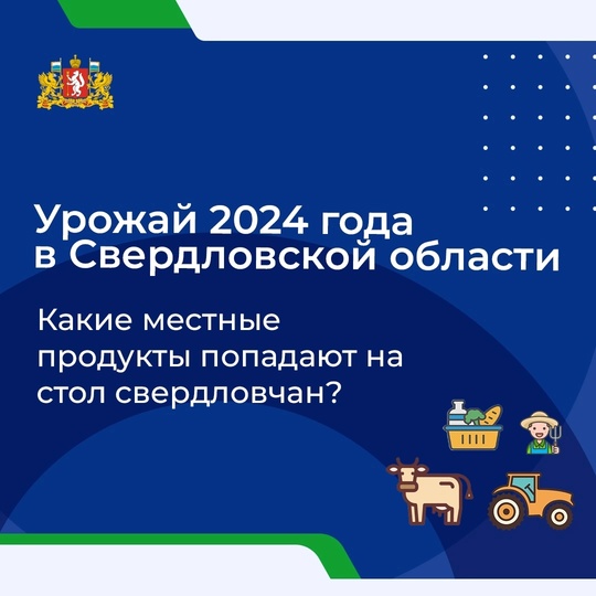 Почти 99.9% свердловчан хоть раз в жизни сажали или капали картошку. Для многих это травма детства, и картошку..