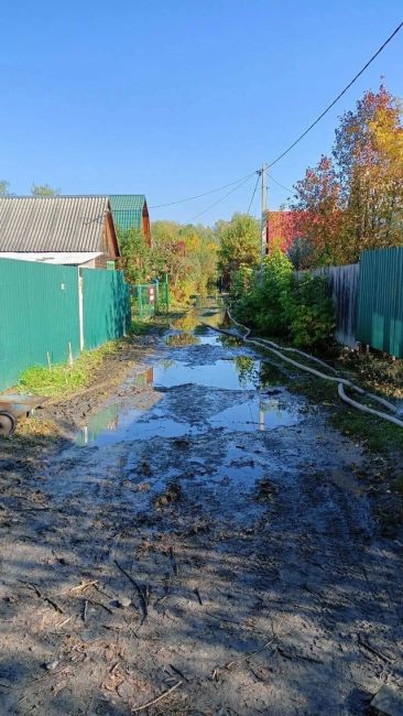 Спасатели МАСС в круглосуточном режиме откачивают воду с садовых участков СНТ «Метростроитель»..