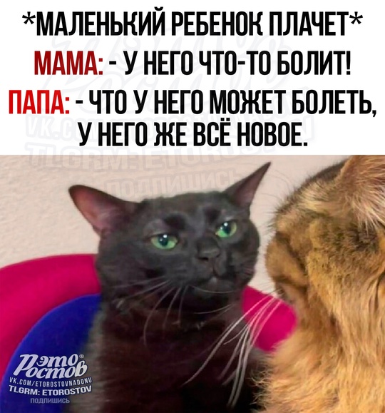 Это Ростов! Новости..