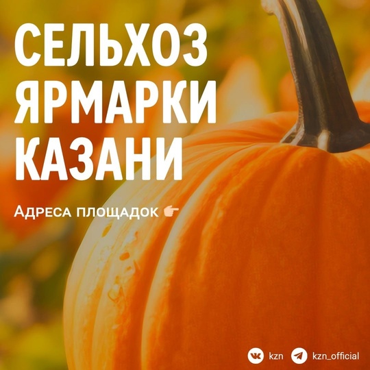 🍎 С сегодняшнего дня и по 29 декабря в Казани еженедельно будут работать сельхоз ярмарки. Торговля будет..