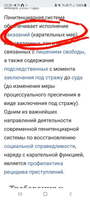 Петербургский суд оставил в силе обвинительный приговор Саше Скочиленко. Вероятнее всего, это значит, что..