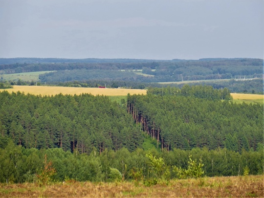 Село Варварское и его окрестности. Кстовский район.💙 
 фото: Галина..