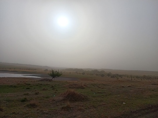 ⛅️ Солнышко в Ростовской области пропало. Всё из-за пыльной..