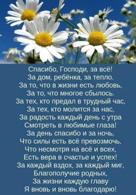 Люди массово отравились готовой едой на избирательных участках Петербурга  СК по Петербургу сообщает, что в..