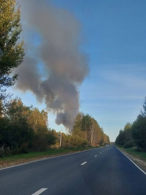 🗣Что-то сильно дымится в Городецком..