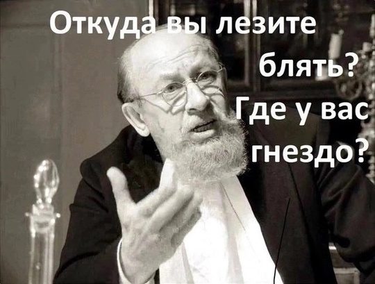 В Приморском районе заметили маму, которая выгуливает дочку-квадробершу с хвостом на поводке. 
Девочка шла..