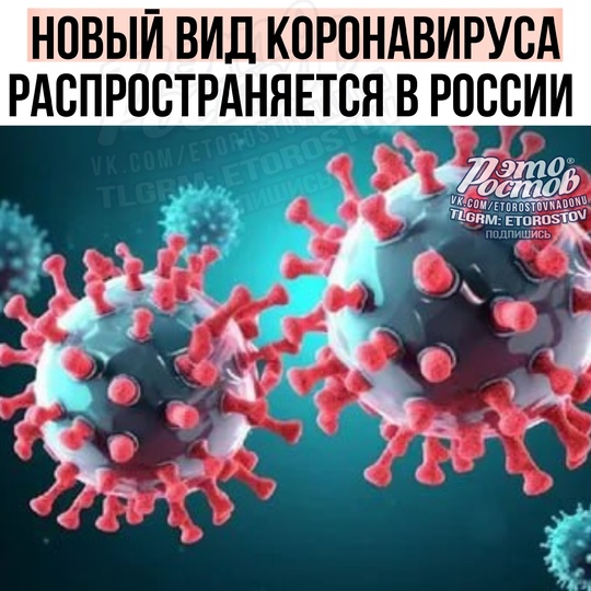 🦠Новый вид коронавируса ХЕС стремительно распространяется по России, — предупредили в..