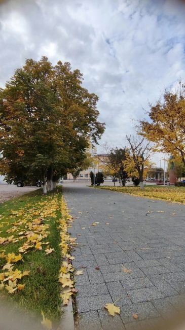 Осенние улицы станицы Вешенской
Шолоховский район, Ростовская область.  фото Михаил..