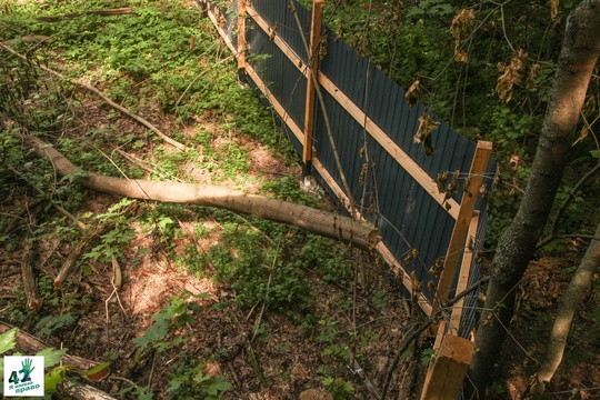 🏗🌳🪓 
Новости Щелоковского хутора 
28 августа на сайте Законодательного Собрания Нижегородской области..