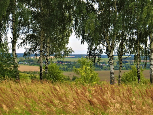 Село Варварское и его окрестности. Кстовский район.💙 
 фото: Галина..