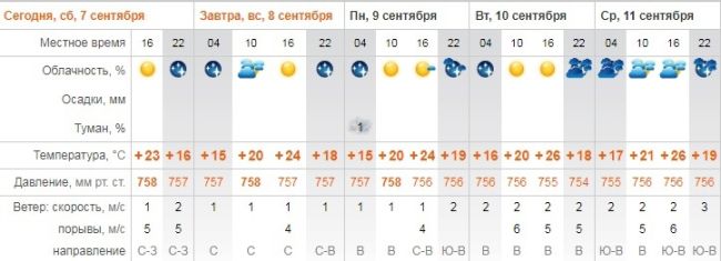 Не простились с летом: какой будет погода в первой половине сентября в Самаре  На 3-4 градуса выше многолетних..