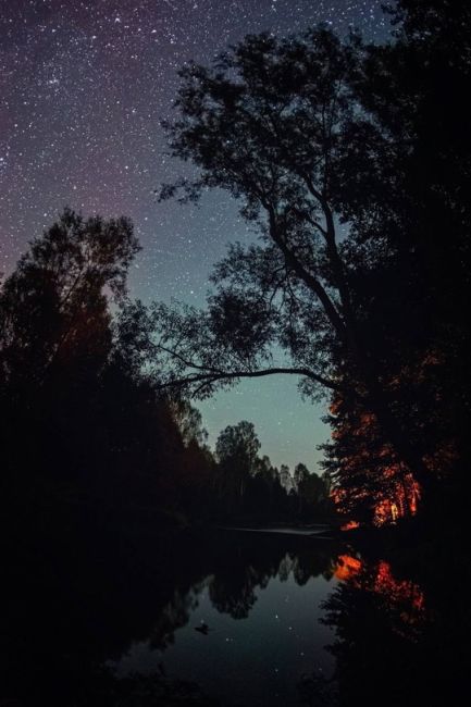 💙 Первые дни осени дарят нам красивое звездное небо  Снимки сделаны у реки Узола.   Фото: Ян..