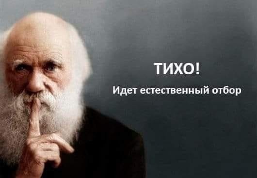 Четвероклассника на самокате сбили в Приморском районе  ДТП произошло на Богатырском проспекте. 10-летний..