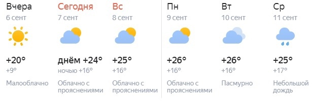 Не простились с летом: какой будет погода в первой половине сентября в Самаре  На 3-4 градуса выше многолетних..