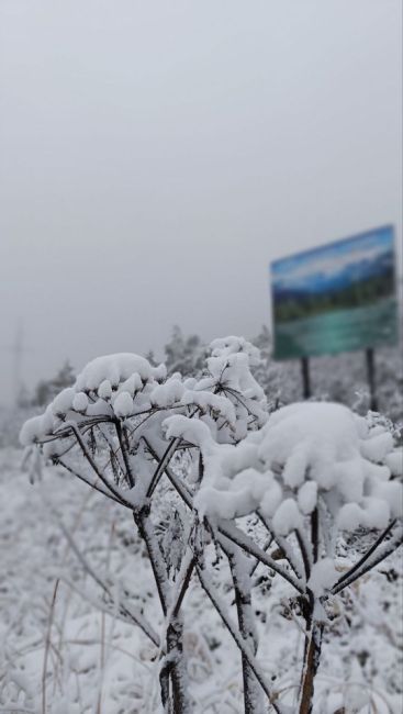 Первый  снег  уже  выпал  на  юге  Красноярского  края!  ❄️  Природный  парк  Ергаки  и  трасса  Р-257  уже  засыпаны..