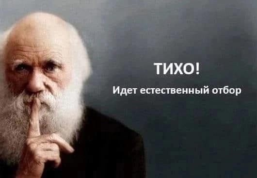 На автодороге в Самарской области водитель вазовской легковушки насмерть сбил пешехода  Мужчина двигался..