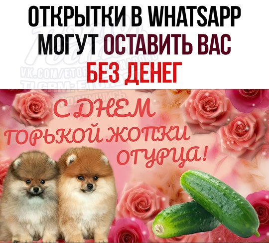 🥳 Открытки в WhatsApp могут оставить вас без денег! Об этом предупредили эксперты по кибербезопасности. 
Под..