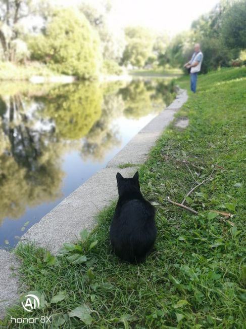 🐈 Мурчащий сад 
В Юсуповском саду обитает очень много котиков. Местные рыбаки кормят их выловленной свежей..