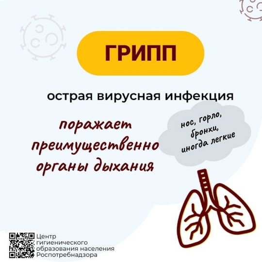 Осторожно: ГРИПП! Рассказываем, что нужно знать о нем и способах защиты от заболевания.  Роспотребнадзор..