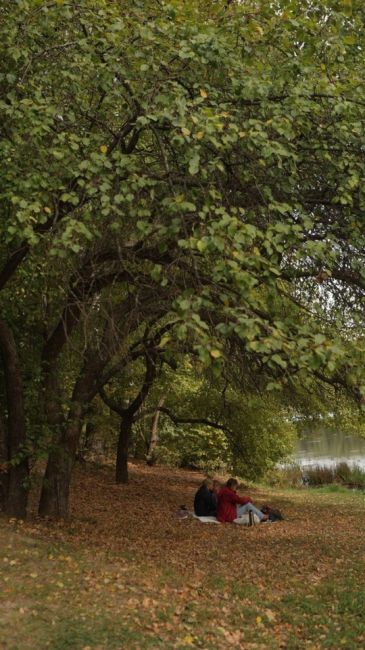 Доброе утро в Щелковском хуторе💛  фото От Александры..