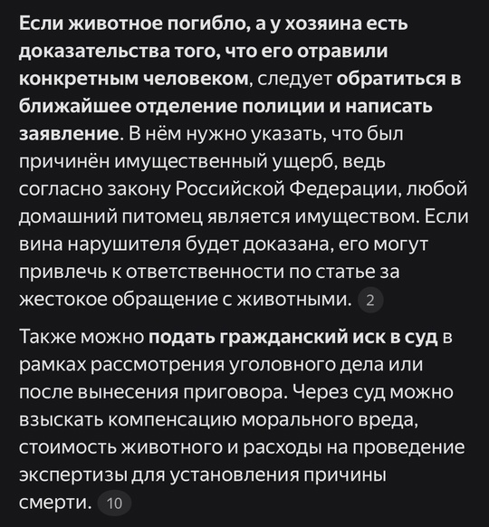 🐕 Какой-то подонок выкинул 11 щенков на трассе в Oльгинской. Малыши напуганы и прижались друг к другу...