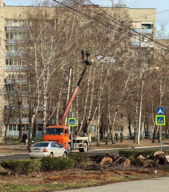 В месте, где троллейбус насмерть сбил беременную женщину с ребенком, срочно начали наносить дорожную..